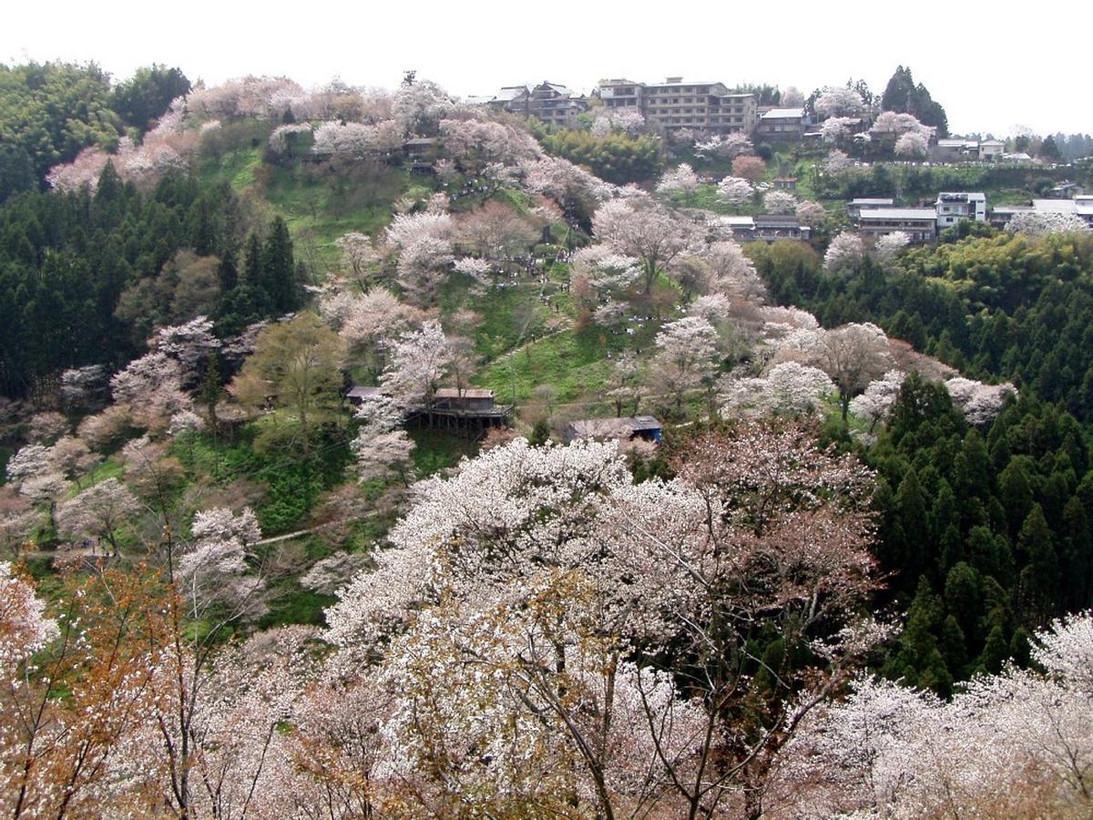 Hounkan Yoshino  Luaran gambar